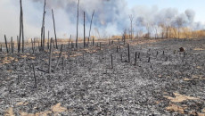 Crop field fires reach mass graves in Shingal’s Kojo village